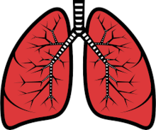 Lung function (Spirometry)