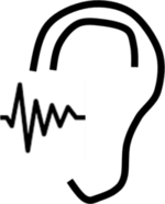 Noise Assessments/Surveys